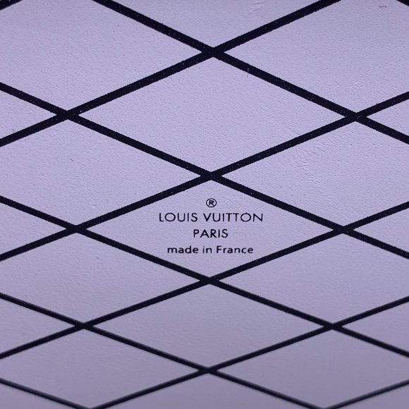 Louis Vuitton Petite Malle Race print checker trunk crossbody leather LV bag - Picture 9 of 16